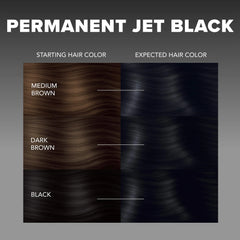 Jet Black Permanent Hair Dye Complete Kit